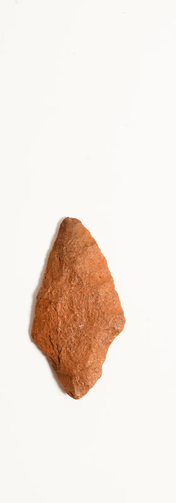 91.jpg
