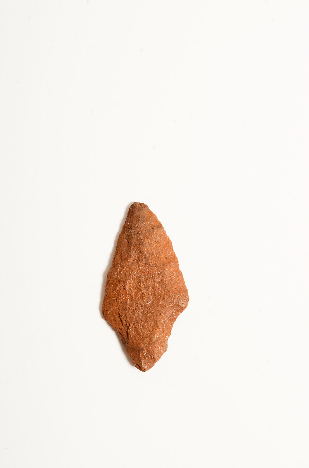 91.jpg